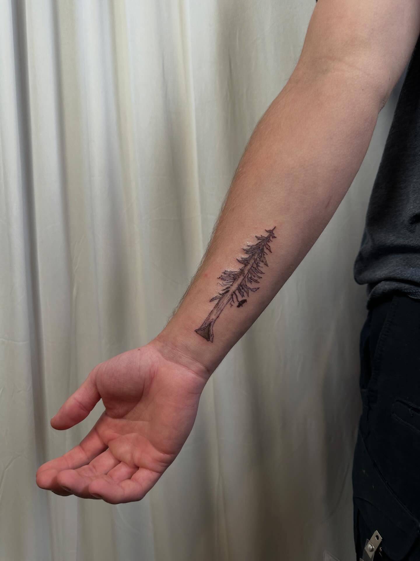 Redwood sequoia tattoo by Ian Jensen